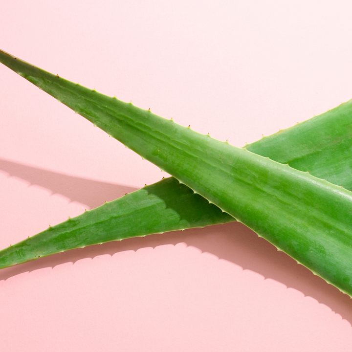 5 Beauty Benefits of Aloe